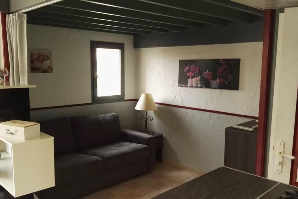 Studio Mezzanine En Residence Avec Piscine Au Village Le Barcarès Buitenkant foto